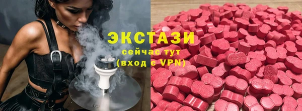 ECSTASY Бородино