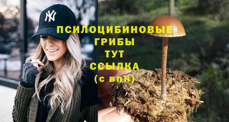 Псилоцибиновые грибы Psilocybe  MEGA ONION  Лосино-Петровский 